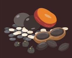 专业营养师教你如何预防脱发(图1) image.png